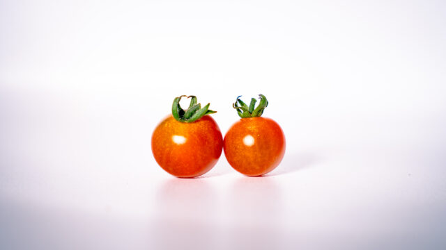 tomato